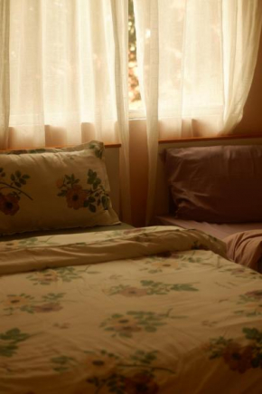 Xanh House NTT